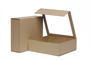 Exploring the Charm and Versatility of Brown Kraft Box Packaging